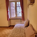 N¨°1 Schongauer De Charme Centre Touristique Apartment