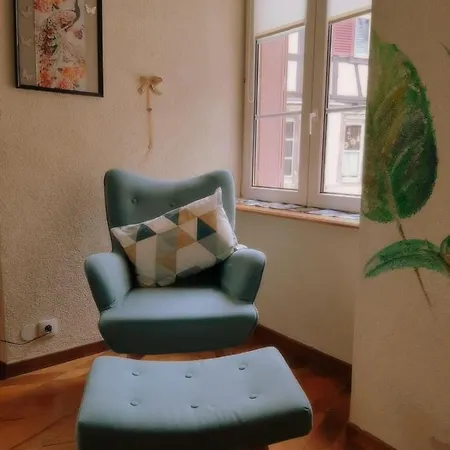 公寓 N¨°1 Schongauer De Charme Centre Touristique *