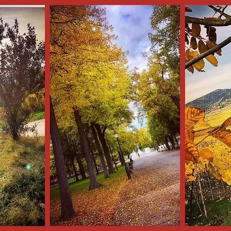 Apartman N¨°1 Schongauer De Charme Centre Touristique *