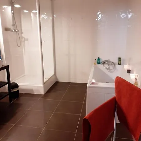 Apartment N¨°1 Schongauer De Charme Centre Touristique Colmar