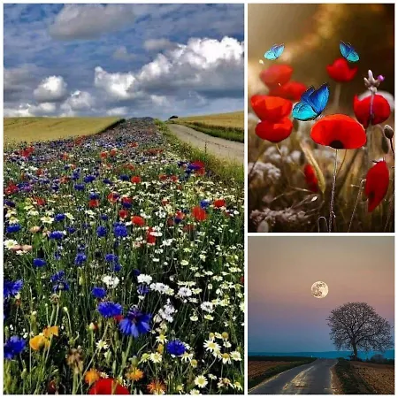 N¨°1 Schongauer De Charme Centre Touristique