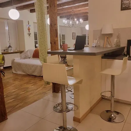 公寓 N¨°1 Schongauer De Charme Centre Touristique 科尔马