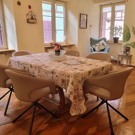Apartment N¨°1 Schongauer De Charme Centre Touristique Colmar