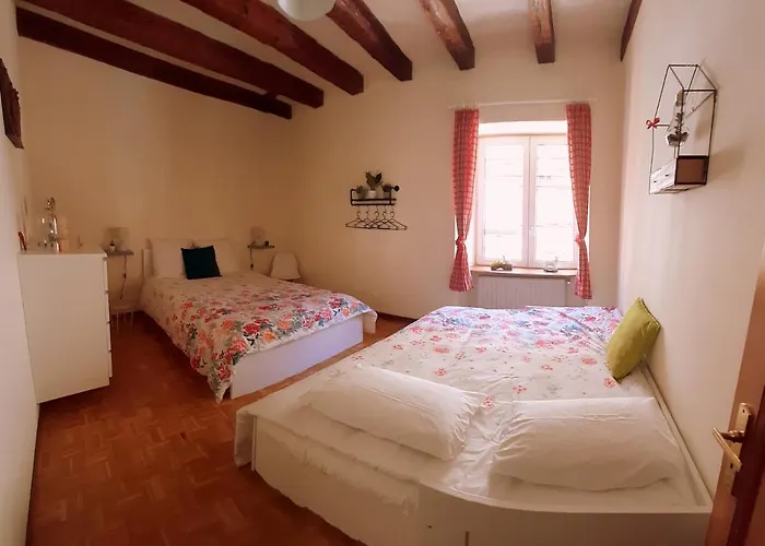 N¨°1 Schongauer De Charme Centre Touristique 公寓 科尔马