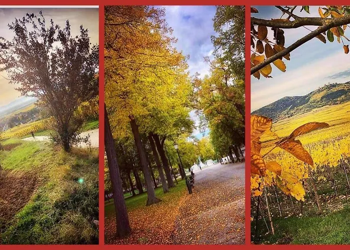 公寓 N¨°1 Schongauer De Charme Centre Touristique *