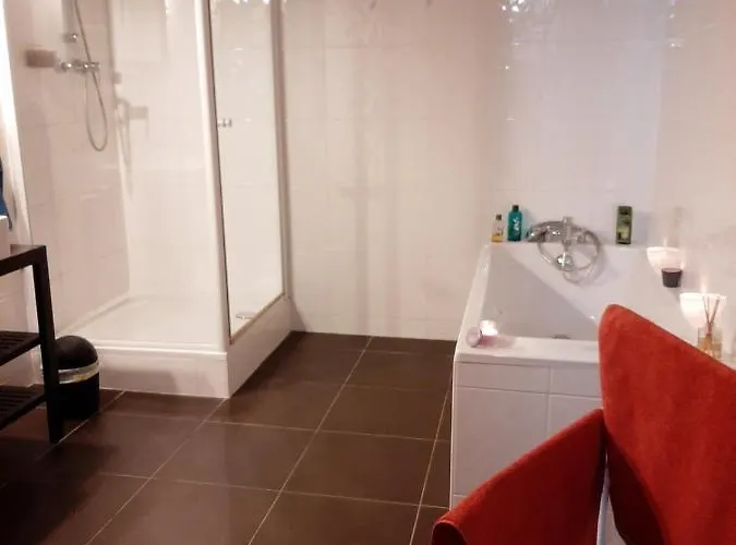 Appartement N¨°1 Schongauer De Charme Centre Touristique Colmar